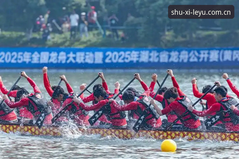 用好2026乐鱼官网中国站赛事数据对比平台，算一笔清晰账的实用指南
